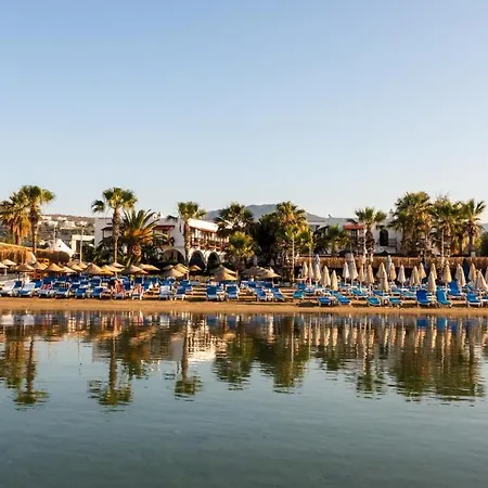 Costa Bitezhan ביטז