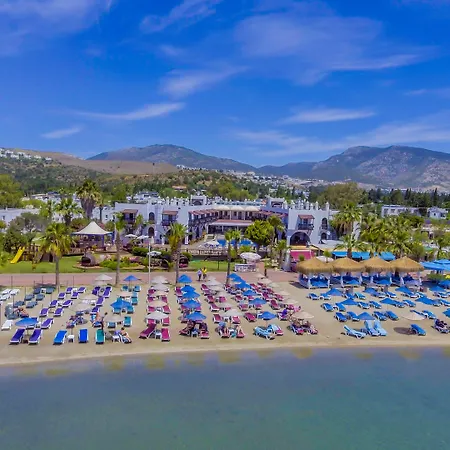 Costa Bitezhan ביטז