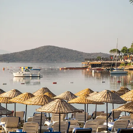 Costa Bitezhan
