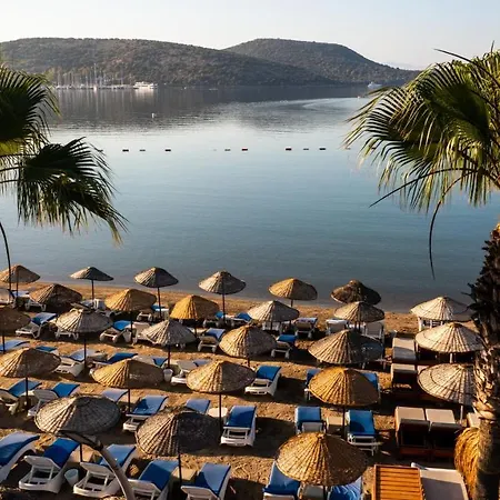 酒店 Costa Bitezhan 4*